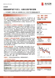 2022年三季度业绩点评:短期面临景气度下行压力,长期关注国产替代逻辑