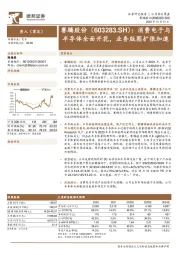 消费电子与半导体全面开花,业务版图扩张加速