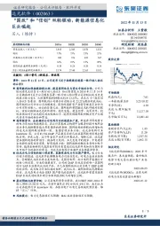 “国改”和“信创”双轮驱动,新能源信息化巨头崛起