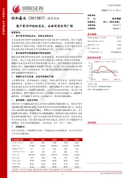 国产家用呼吸机龙头，全球布局空间广阔