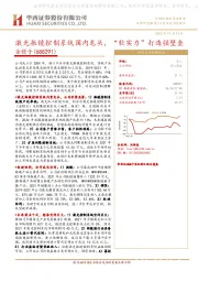 激光振镜控制系统国内龙头，“软实力”打造强壁垒