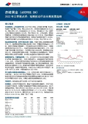 2022年三季报点评：短期扰动不改长期发展趋势