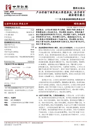 季报点评：产品价格下跌导致三季度承压，在手项目提供增长潜力