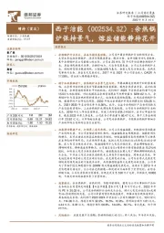 余热锅炉保持景气,熔盐储能静待花开