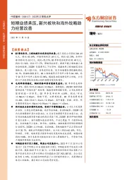 2022年三季报点评：短期业绩承压，新兴板块和海外战略助力经营改善