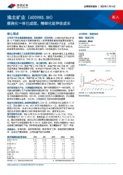 煤焦化一体已成型，精细化延伸促成长