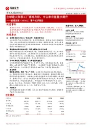 事件点评报告：全球最大阳极工厂落地在即，市占率有望稳步提升