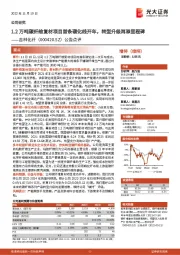 公告点评:1.2万吨碳纤维复材项目首条碳化线开车,转型升级再添里程碑
