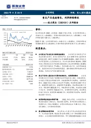 点评报告：重点产品高速增长，利润持续释放