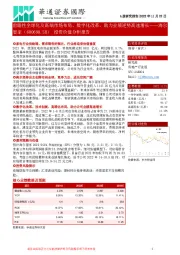 投资价值分析报告：前瞻性全球化及高端市场布局、数字化改革，助力业绩逆势高速增长