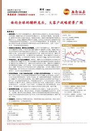 面向全球的辅料龙头，大客户战略前景广阔