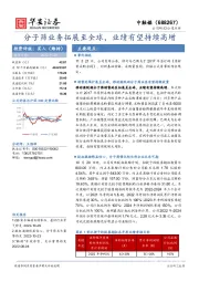 分子筛业务拓展至全球,业绩有望持续高增