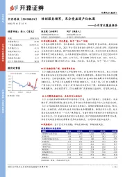 公司首次覆盖报告：信创服务领军，充分受益国产化机遇