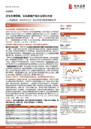 非公开发行股票预案点评:发布定增预案,加码高端产能及全球化布局