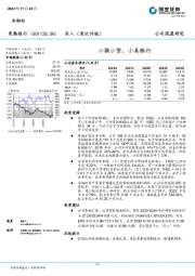 小微小贷，小美银行