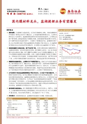 国内膜材料龙头，盐湖提锂业务有望爆发