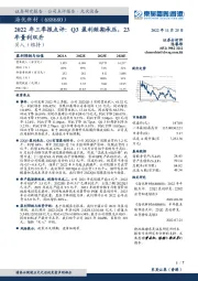 2022年三季报点评：Q3盈利短期承压，23年量利双升