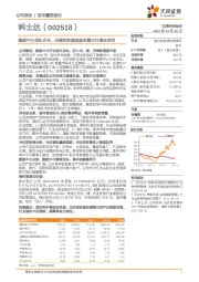 数据中心龙头企业,光储充快速发展有望打开增长空间