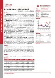 首次覆盖报告:扩产巩固龙头地位,布局新材料迎成长