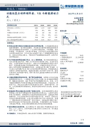 功能性复合材料领军者，VR与新能源动力足