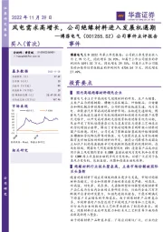 公司事件点评报告：风电需求高增长，公司绝缘材料进入发展机遇期