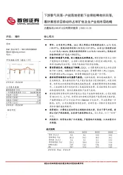 公司简评报告：下游景气回落+产能落地受阻下业绩短期有所回落，看好募投项目带动市占率扩张及全产业链布局战略