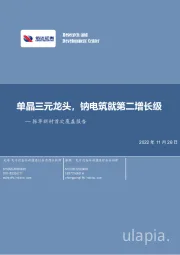 振华新材首次覆盖报告:单晶三元龙头,钠电筑就第二增长级