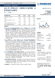 2022年三季报点评:业绩符合市场预期,出货实现环比高增长