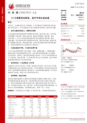 11月销量再创新高，海外市场加速拓展