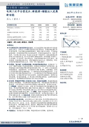 电网二次平台型龙头，新能源+储能注入发展新动能