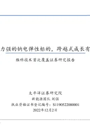 维科技术首次覆盖证券研究报告：集成能力强的钠电弹性标的，跨越式成长有望开启