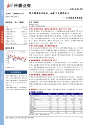 公司信息更新报告：单月销售依旧低迷，融资三支箭齐发力