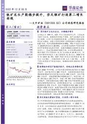 公司动态研究报告:铁矿龙头产能稳步提升,涉足锂矿打造第二增长曲线
