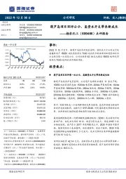 点评报告:葫芦岛项目环评公示,高资本开支带来新成长