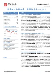 富氧侧吹积极拓展，前驱体龙头二次点火