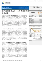 国内薄型载带龙头,自研离型膜有望加速放量