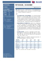 海外供货加速,龙头地位稳固