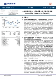 公司动态研究：主动脉支架龙头，药物球囊上市完善外周布局