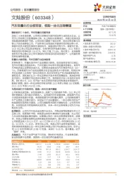 汽车轻量化行业领军者，领跑一体化压铸赛道