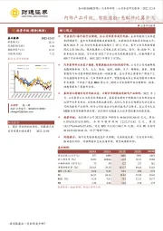 内饰产品升级，智能座舱+充配件比翼齐飞