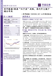 公司深度报告:坚守数据+能源“双子星”战略,海内外大储户储全布局