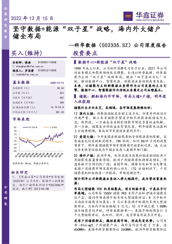 公司深度报告：坚守数据+能源“双子星”战略，海内外大储户储全布局
