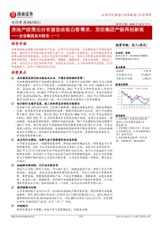 龙佰集团系列报告（一）：房地产政策出台有望拉动钛白粉需求，龙佰集团产能再创新高