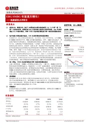 海康威视点评报告:EBG/SMBG有望重归增长!