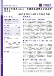 公司动态研究报告：智慧口岸信息化龙头，疫情政策调整业绩拐点有望出现