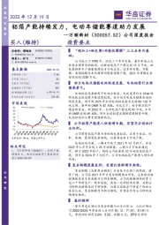 公司深度报告:铝箔产能持续发力,电动车储能赛道助力发展