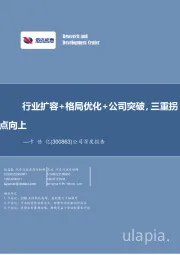 公司深度报告：行业扩容+格局优化+公司突破，三重拐点向上