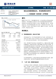 点评报告：依托生物质精炼技术，布局硬碳负极项目