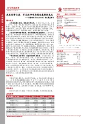 首次覆盖报告:成本优势凸显、多元延伸布局的硅基新材龙头