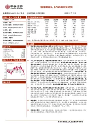 智能音视频龙头，多产品布局打开成长空间